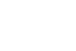 BPM Plus logo